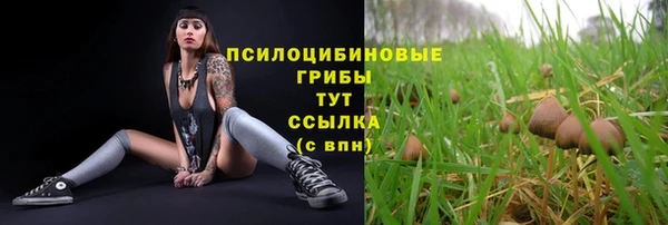 кристаллы Алзамай