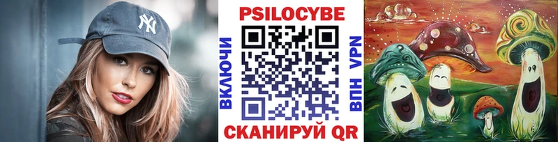 OMG ссылка  Тогучин  Псилоцибиновые грибы GOLDEN TEACHER 