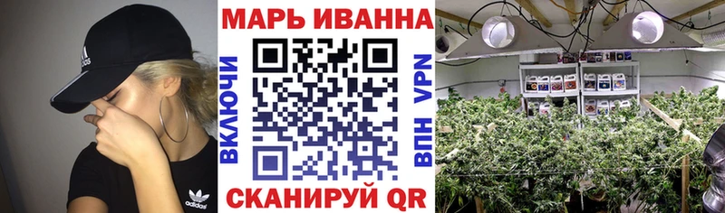 Конопля сатива  blacksprut вход  Тогучин 
